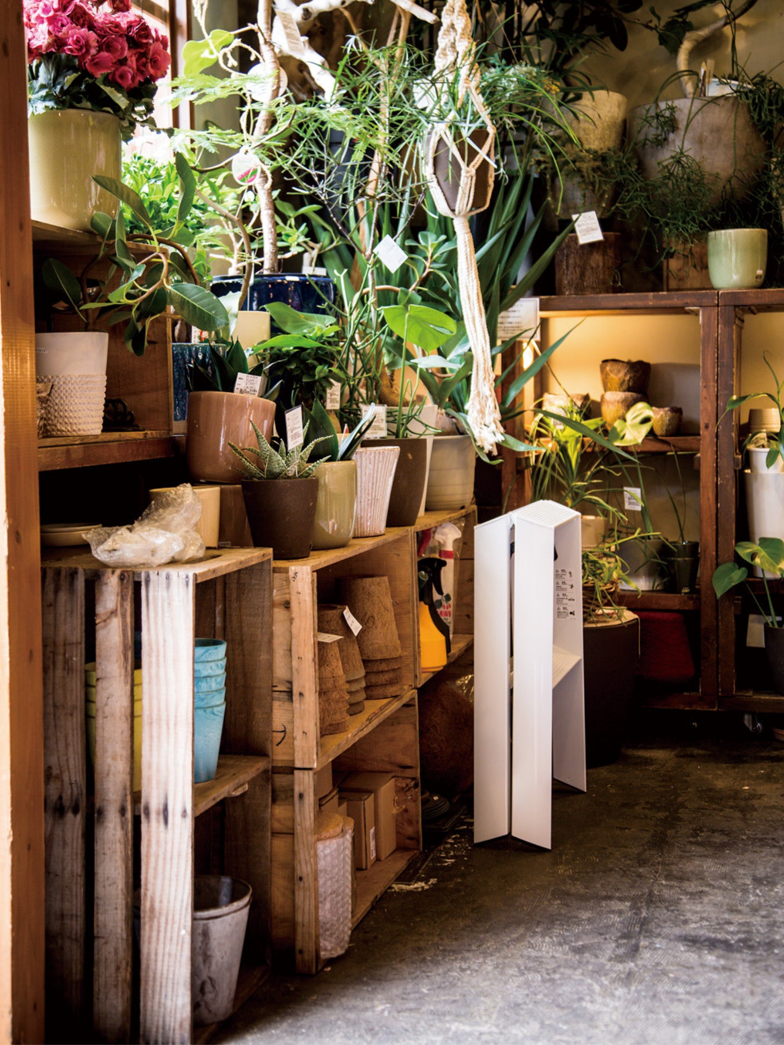 een grote hulp van deze 2 step ladder wit in den retail winkel