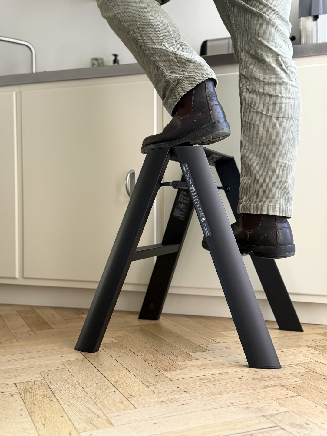 Hasegawa Lucano Ladder 2 Step Black